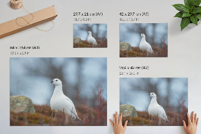 Stijlvolle wandposter Een witte vogel in een winterse omgeving.