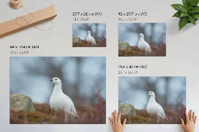 Stijlvolle wandposter met een witte vogel in een winterse omgeving