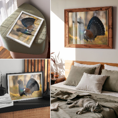 Moderne decoratieve poster Prachtige vogel in het bos, met gespreide staart, kleur