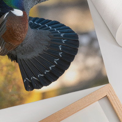 Moderne decoratieve poster Prachtige vogel in het bos, met gespreide staart, kleur