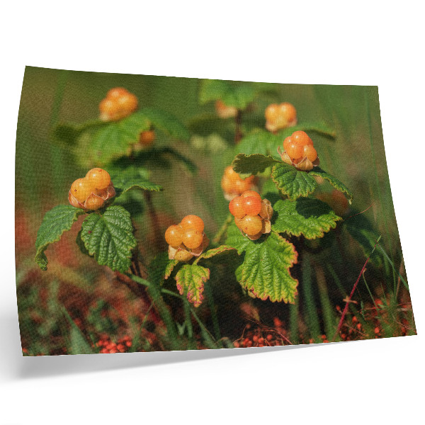 Poster Groene bladeren, oranje vruchten, natuurlijke charme