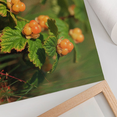Poster Groene bladeren, oranje vruchten, natuurlijke charme