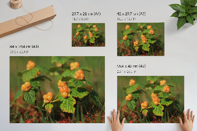 Poster Groene bladeren, oranje vruchten, natuurlijke charme