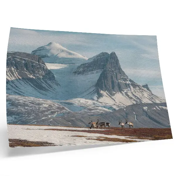 Moderne decoratieve poster met schilderachtige bergen, rendieren en een rustig winterlandschap