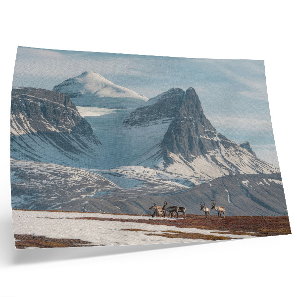 Moderne decoratieve poster Schilderachtige bergen, rendieren, rust, winterlandschap