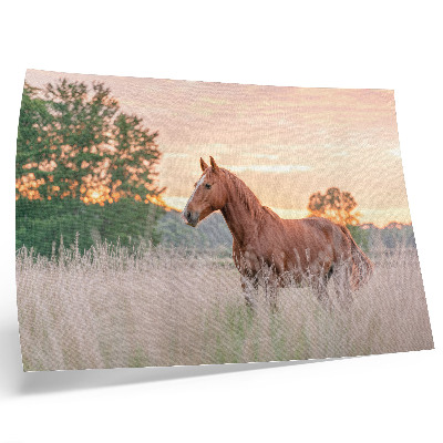 Stijlvolle wandposter Paard in de wei in de ochtend, pastelkleuren, ontspanning