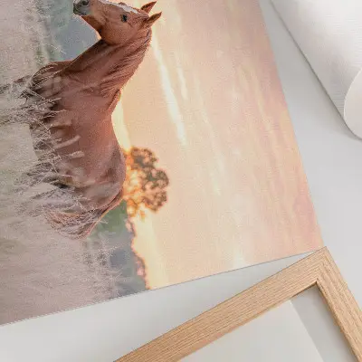 Stijlvolle wandposter paard in de wei in de ochtend met rustgevende pastelkleuren