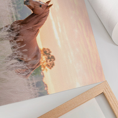 Stijlvolle wandposter Paard in de wei in de ochtend, pastelkleuren, ontspanning