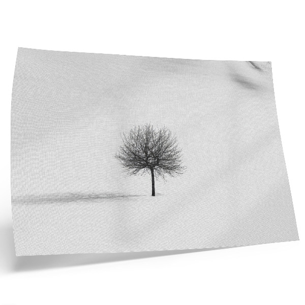 Poster Minimalistisch winterlandschap met boommotief en harmonie.