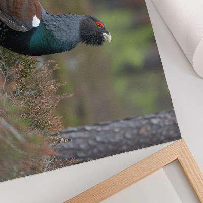 Stijlvolle wandposter Vogels, kleuren, bos, natuur, vredige sfeer