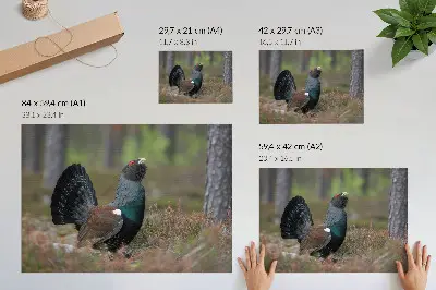 Stijlvolle wandposter met een vredige sfeer van vogels in een kleurrijk bos