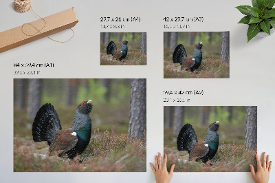 Stijlvolle wandposter Vogels, kleuren, bos, natuur, vredige sfeer