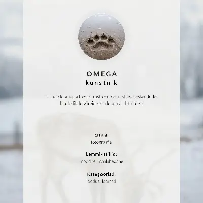 Poster wolf in beweging in een wild natuurlandschap