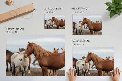 Stijlvolle wandposter De natuurlijke schoonheid van paarden tegen de achtergrond van het landschap.
