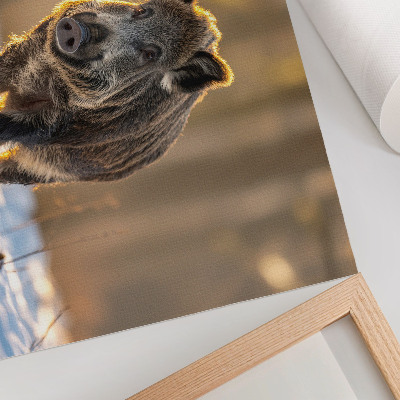 Poster Een wild zwijn tegen een winterse achtergrond, omgeven door zonlicht.
