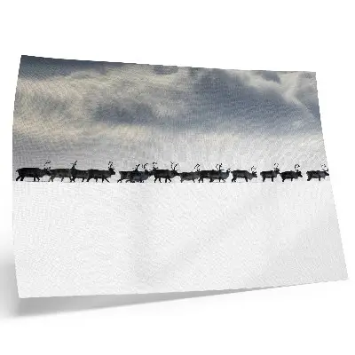 Wandposter rendieren in de sneeuw met stilte en ruimte