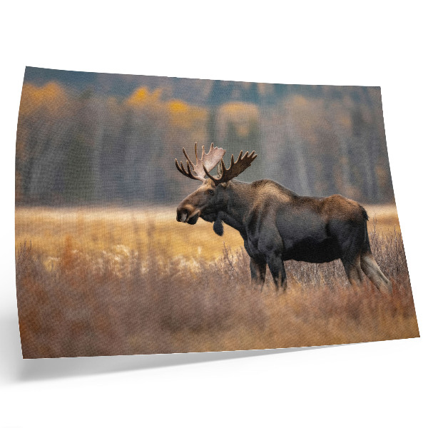 Poster Elanden herfstlandschap harmonie wildheid natuur