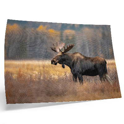 Poster Elanden herfstlandschap harmonie wildheid natuur