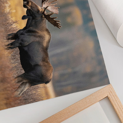 Poster Elanden herfstlandschap harmonie wildheid natuur