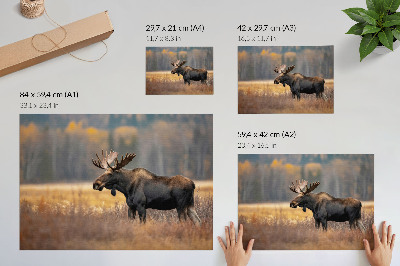 Poster Elanden herfstlandschap harmonie wildheid natuur
