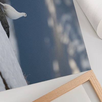 Poster Vogel in de sneeuw winterlandschap zachtheid