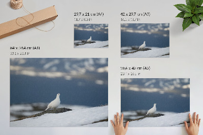 Poster Vogel in de sneeuw winterlandschap zachtheid