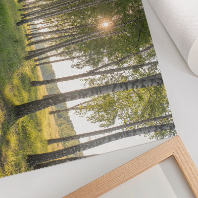 Poster Berkenbos zonnestralen symmetrie groen