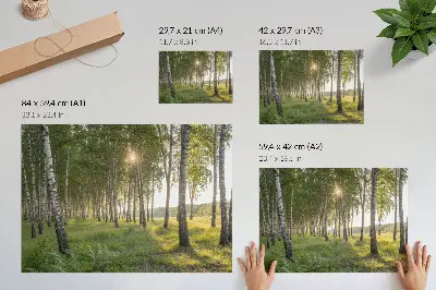 Poster berkenbos met zonnestralen in symmetrische groene tinten