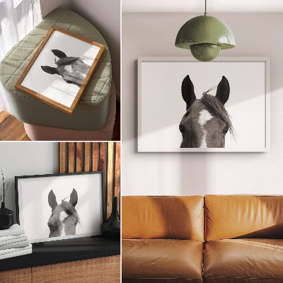 Stijlvolle wandposter Zwart-witfotografie van paardenelegantie