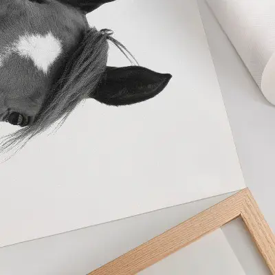 Wandposter paardenelegantie zwart-witfotografie