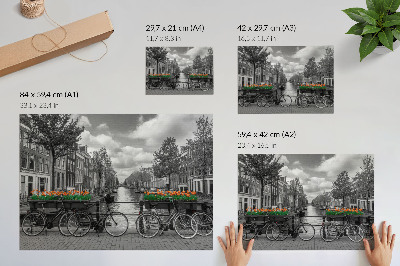 Poster Een charmant uitzicht op het kanaal, fietsen, tulpen, zwart en oranje.