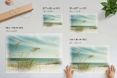 Stijlvolle wandposter Strandgras, oceaan, lucht, rust