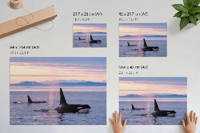 Moderne decoratieve poster Orka's tegen een pastelkleurig zeegezicht.