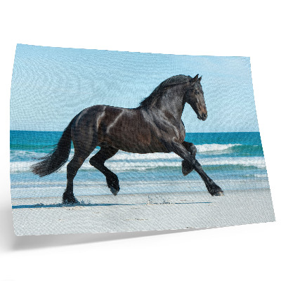 Stijlvolle wandposter Paard galopperend langs de kust, blauwe lucht