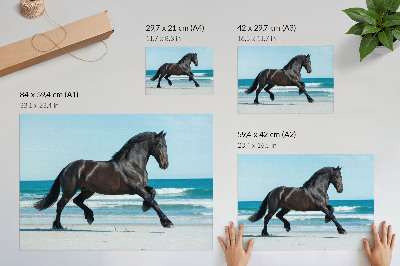 Stijlvolle wandposter Paard galopperend langs de kust, blauwe lucht