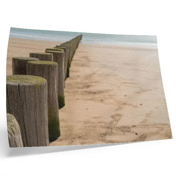 Poster met een natuurlijke afbeelding van houten palen aan de zee