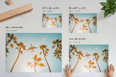 Stijlvolle wandposter Vliegtuig, palmbomen, blauwe lucht, tropisch klimaat