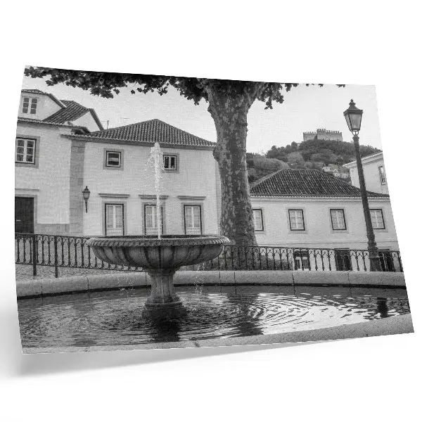 Moderne decoratieve poster zwart-witte fontein met klassieke gebouwen en een kasteel