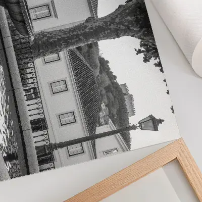 Moderne decoratieve poster zwart-witte fontein met klassieke gebouwen en een kasteel
