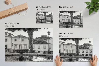 Moderne decoratieve poster Zwart-witte fontein, klassieke gebouwen, kasteel