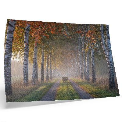 Stijlvolle wandposter Symmetrische berken, mistig licht, herfststeeg