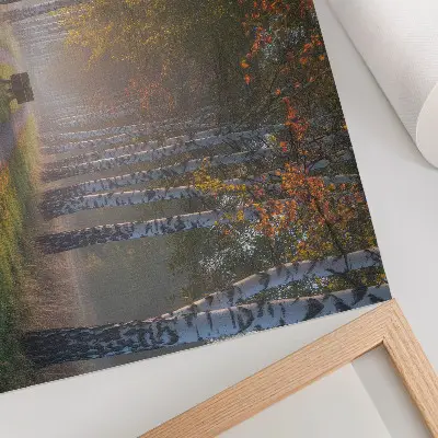 Stijlvolle wandposter met symmetrische berken in mistig herfstlicht