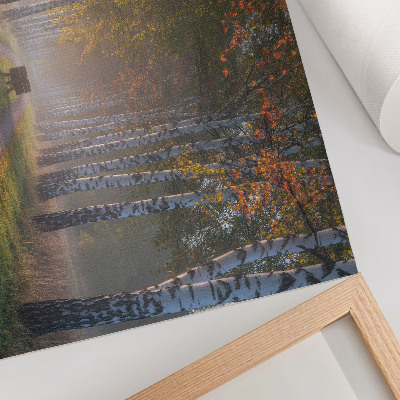 Stijlvolle wandposter Symmetrische berken, mistig licht, herfststeeg