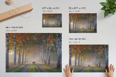 Stijlvolle wandposter Symmetrische berken, mistig licht, herfststeeg