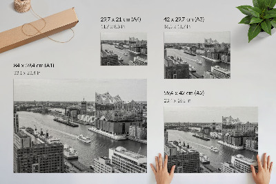 Moderne decoratieve poster Moderne stadsrivier iconische architectuur