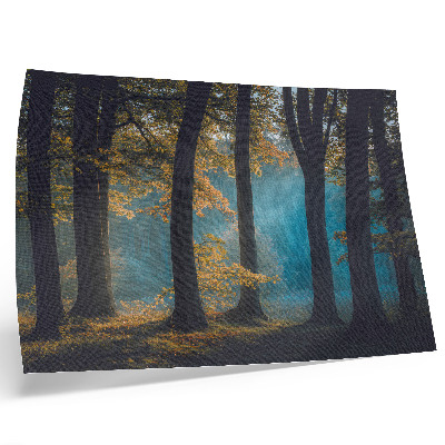 Stijlvolle wandposter Stil bos, ochtendzon, kleurrijke bladeren