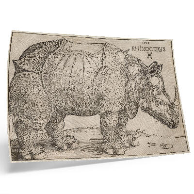 Stijlvolle wandposter Neushoorn (1515) van Albrecht Dürer