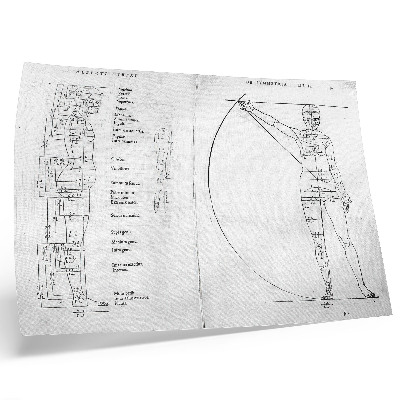 Moderne decoratieve poster Tekening van een man in het Latijn, in de versie van Albrecht Dürer.