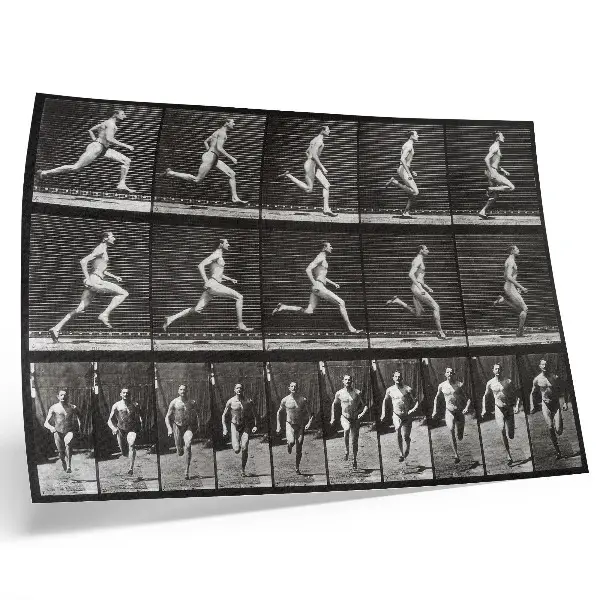 Moderne decoratieve poster plaat 60 van Animal Locomotion (1887) door Eadweard Muybridge