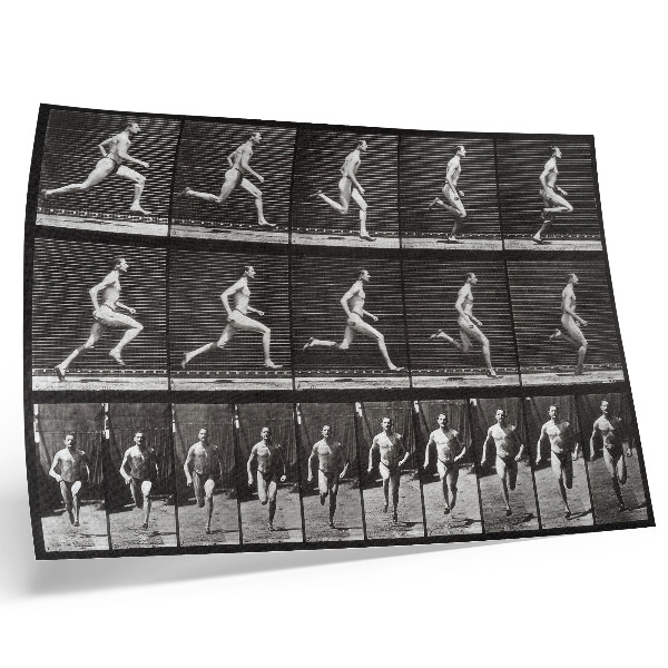 Moderne decoratieve poster Plaat 60 van Animal Locomotion (1887), gefotografeerd door Eadweard Muybridge.